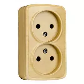 Двухместная розетка EKF Минск EGR10-102-30