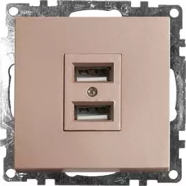 Двухместная розетка usb STEKKER