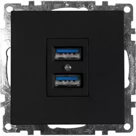 Двухместная usb-розетка STEKKER GLS10-7115-05 Катрин 39616