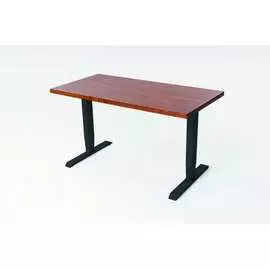 Двухмоторный стол StolStoya ТИТАН SE221IBAO12065