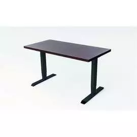 Двухмоторный стол StolStoya ТИТАН SE221IBV14070