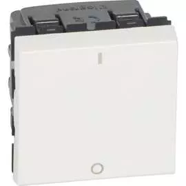 Двухполюсный выключатель Legrand