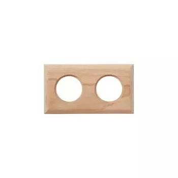 Двухпостовая рамка Bironi BF4-620-10