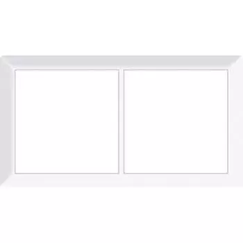 Двухпостовая рамка CGSS Практика PL-P102-WCG