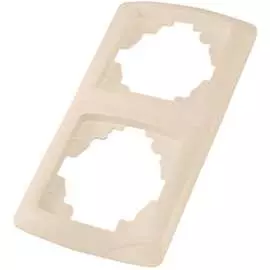Двухпостовая вертикальная рамка TDM ELECTRIC Онега SQ1805-0056