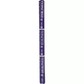 Двухслойный гидро-пароизоляционный материал Тераспан Д ЭКО 4660077150181