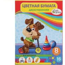Двусторонняя цветная бумага Calligrata