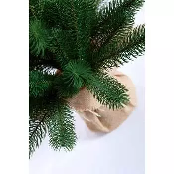 Ель CRYSTAL TREES БЕРГАМО KP0060