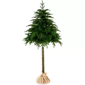 Ель CRYSTAL TREES