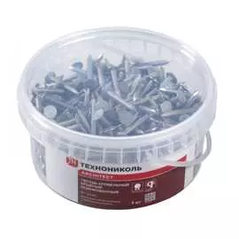 Ершенные гвозди Технониколь 1 кг TN475131