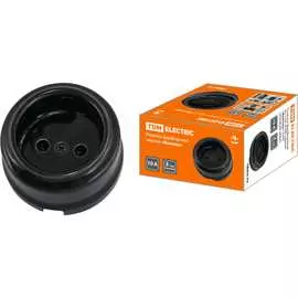 Фарфоровая розетка TDM ELECTRIC Болонь SQ1820-0005