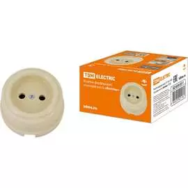 Фарфоровая розетка TDM ELECTRIC Болонь SQ1820-0311