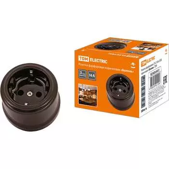 Фарфоровая розетка TDM ELECTRIC Болонь SQ1820-0412