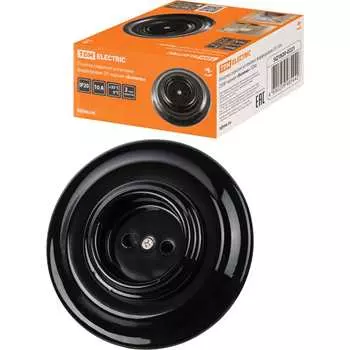 Фарфоровая розетка TDM ELECTRIC Болонь SQ1820-0221