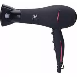 Фен Василиса