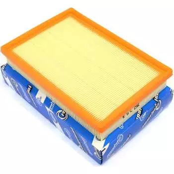 Фильтр воздушный для а/м Hyundai Accent (ТагАЗ) 1.5/1.6 00-, Mazda 626, 929 2.0/2.2 86-91 Riginal RGC2562