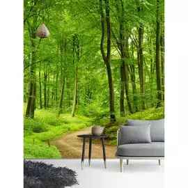 Флизелиновые фотообои Fotooboikin