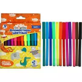 Фломастеры Calligrata 5483634