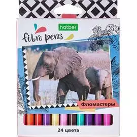 Фломастеры Hatber