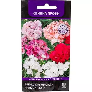 Флокс друммонда Агрохолдинг ПОИСК Промис Микс 832466