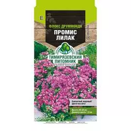 Флокс друммонта семена Тимирязевский питомник