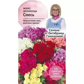 Флокс семена ОКТЯБРИНА ГАНИЧКИНА