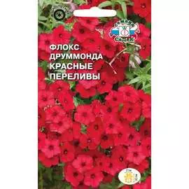 Флокс семена СеДек