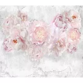 Фотообои Dekor Vinil