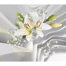 Фотообои Dekor Vinil