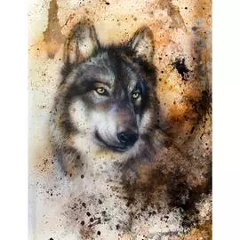 Фотообои Dekor Vinil