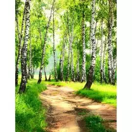 Фотообои Dekor Vinil