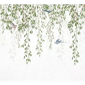 Фотообои DIVINO