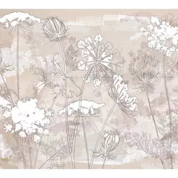 Фотообои DIVINO