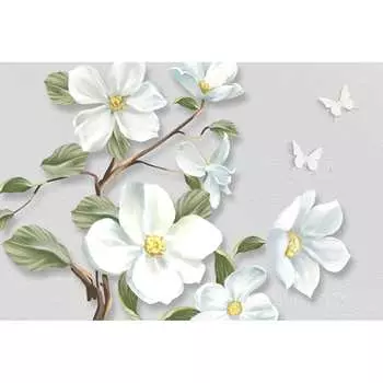 Фотообои DIVINO