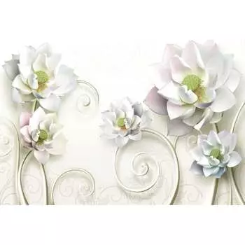 Фотообои DIVINO