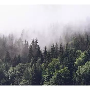 Фотообои DIVINO