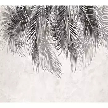 Фотообои DIVINO