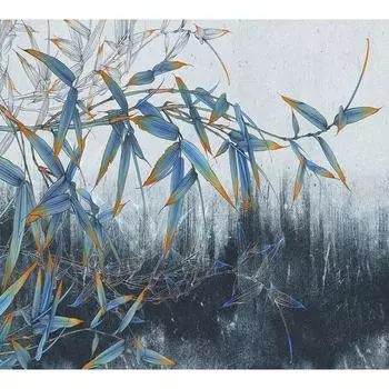 Фотообои DIVINO