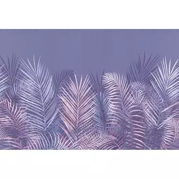 Фотообои DIVINO