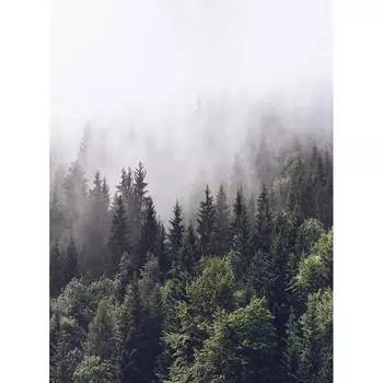 Фотообои DIVINO