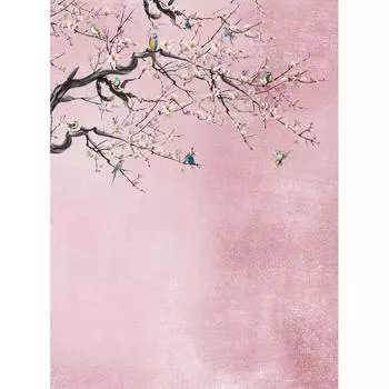 Фотообои DIVINO