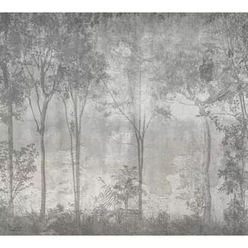 Фотообои DIVINO