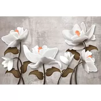 Фотообои DIVINO