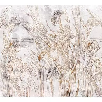 Фотообои DIVINO