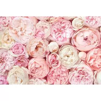 Фотообои DIVINO