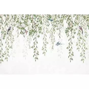 Фотообои DIVINO