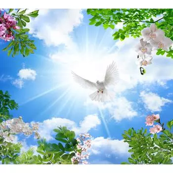 Фотообои DIVINO