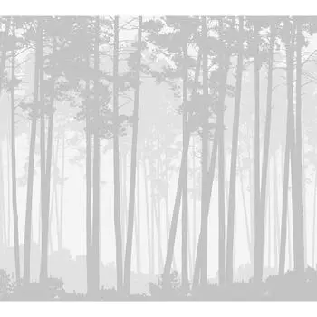 Фотообои DIVINO