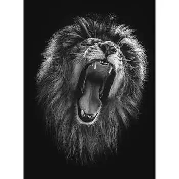 Фотообои DIVINO