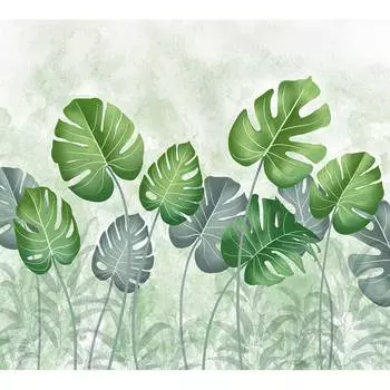 Фотообои DIVINO